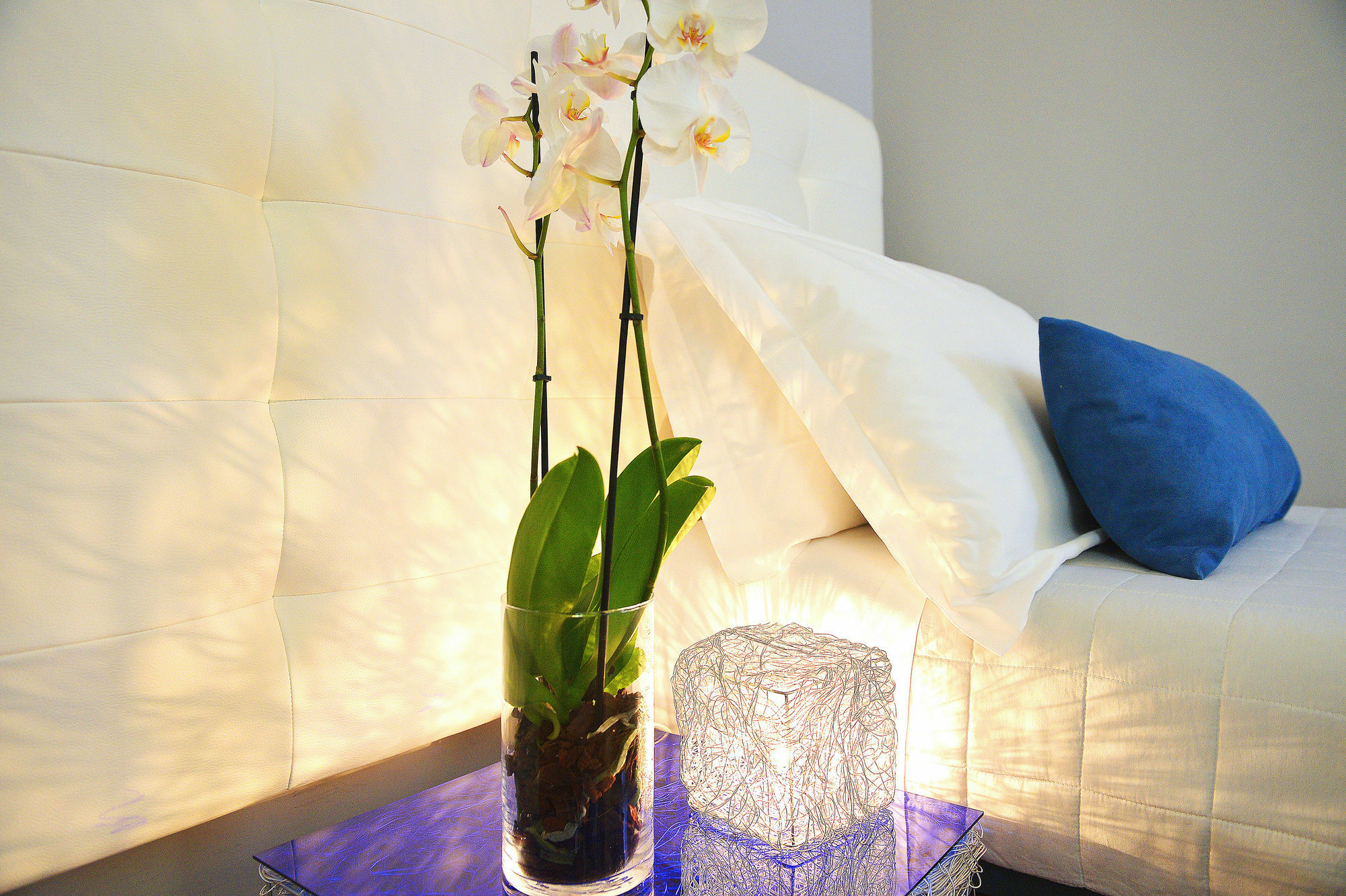 B-Cool (Adults Only) Bed & Breakfast Rome Luaran gambar